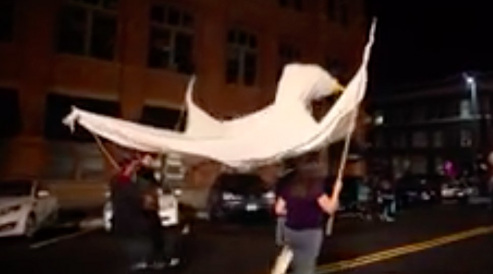 The Jane Goodall Peace Dove leads, 2014.